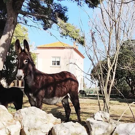 Au Coeur De La Nature Coursan